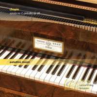 Chopin: Sonata No. 2; Preludes op. 28